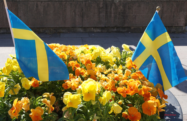 svenskflagga_web